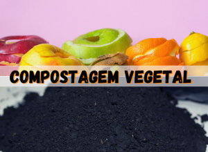 Read more about the article OS 03 Maiores Benefícios da Compostagem Vegetal