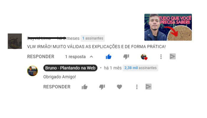 LINGUAGEM SIMPLES (2)